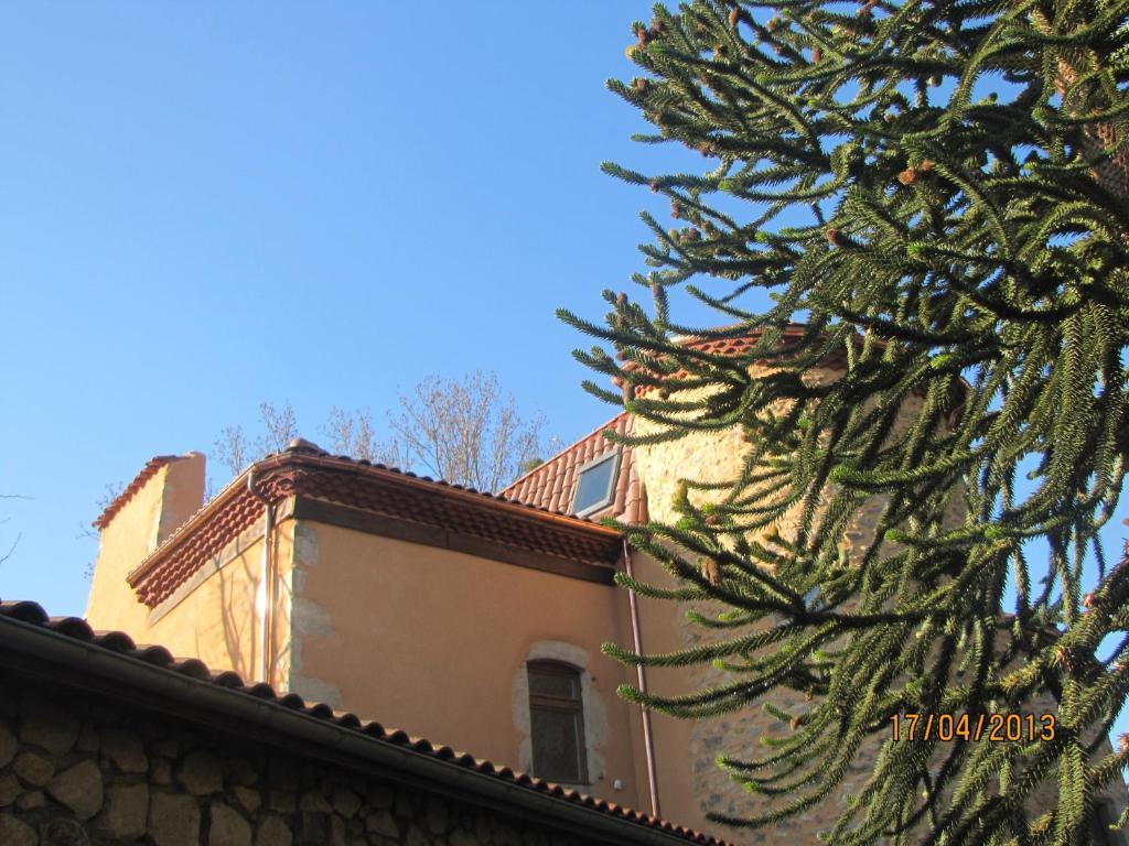 Chateau Des Aiguilles Saint-Remy-de-Chargnat Exterior photo